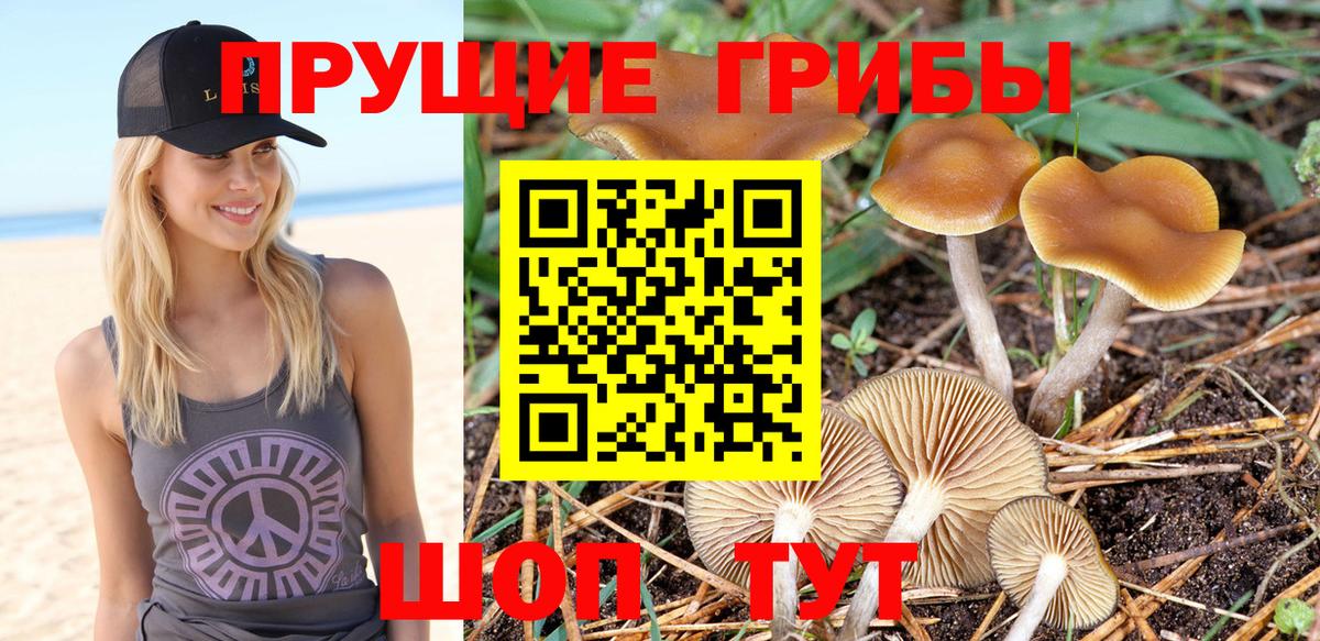 Галлюциногенные грибы мухоморы  Псилоцибиновые грибы мицелий  Вход с VPN  Киселёвск 